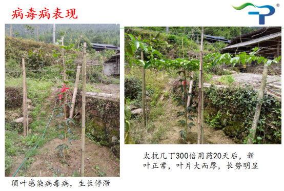 1513319357445766rjc5.png blob.png