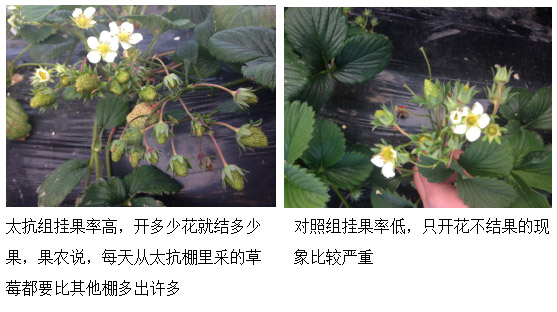 1513326280583208jBhQ.jpg TIM截圖20171215161101.jpg