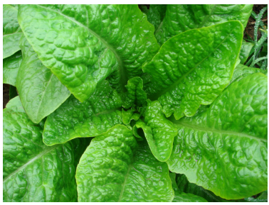 1513332893256703Zp4J.png blob.png