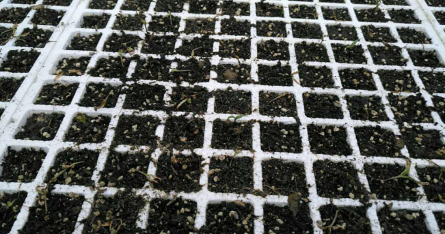 1515667681999728gku6.png blob.png