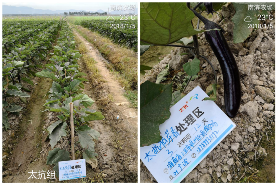 1515670071746232LyEK.png blob.png