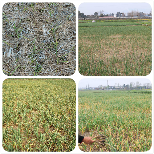 1522286398796075Tv4Q.png 圖片1.png