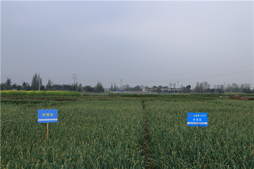 1522286549174094UxFT.png 圖片5.png