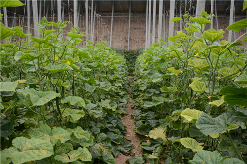 1527755386969556wm6o.png 圖片6.png