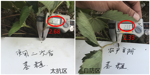 1530085054757020BgE8.png 圖片11.png