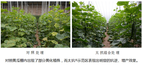 1531215384635799OIVB.png 圖片18.png