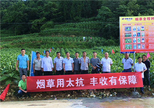 1531293131357782IRyG.png 圖片8.png