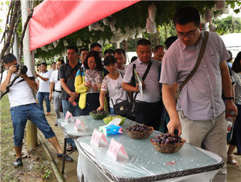 1533176957821263dG9W.png 圖片15.png