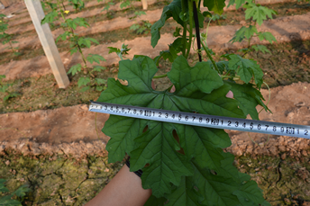 1539161617750694nwqr.png 圖片2.png