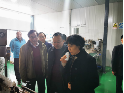 1576024862124167zW91.png blob.png