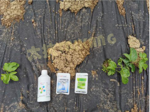 15765426328425452ASB.png 圖片2_副本.png