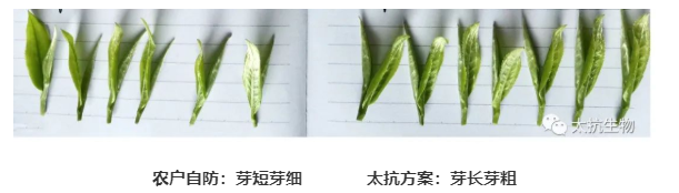 1587374230512890v2sA.png image.png