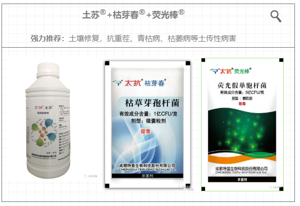 15873749987517201qcH.png image.png