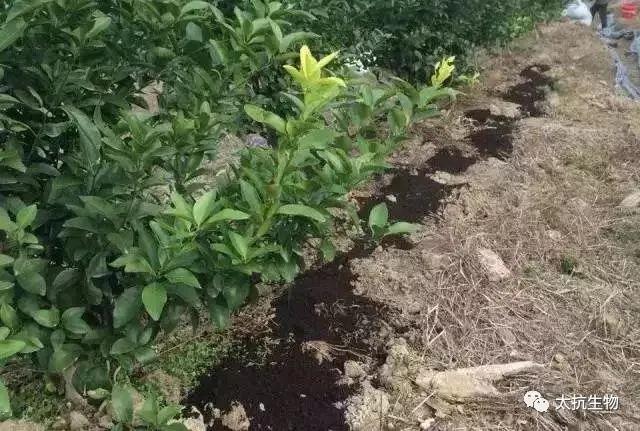 1639373742488357D4ui.jpg 微信圖片_20211213134434.jpg